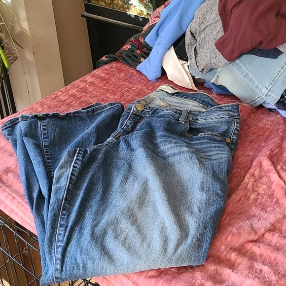Torrid jeans
